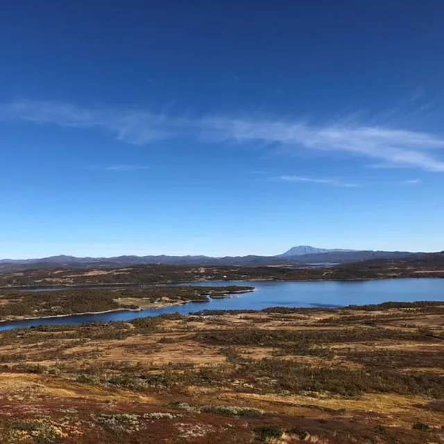 Landskap under en skyfri himmel